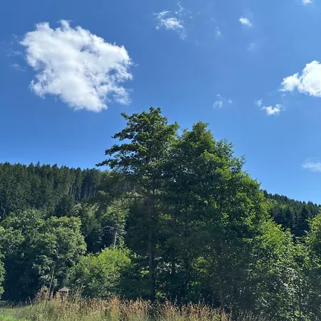 Appartement Ruhige Im Schwarzwald *